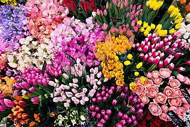 《战神：诸神黄昏》Steam同时在线玩家近2.3万 表现不及前作